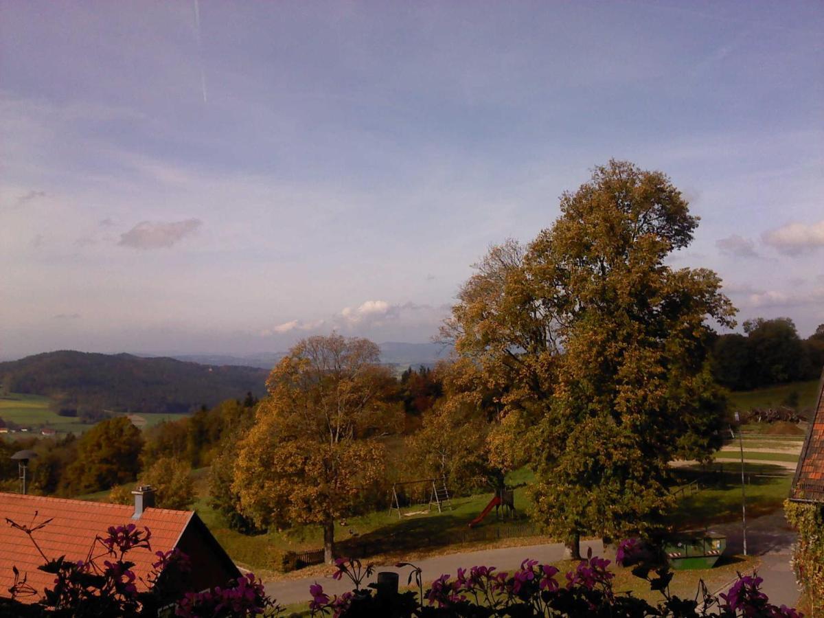 Ferienwohnung Schoenblick Waldmünchen Eksteriør billede
